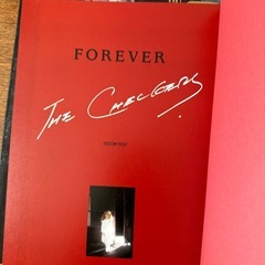 チェッカーズ パンフレット oops final 2冊セットの画像