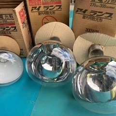 ランプ 電球 アイ ランプ  300Wの画像