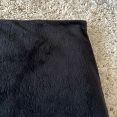 ペット用ホットカーペット　美品の画像