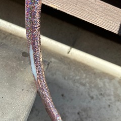 子供用フラフープの画像