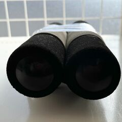 【ドリーム池田店】鉄人倶楽部　1kgダンベル×2点セット　IKW-251の画像