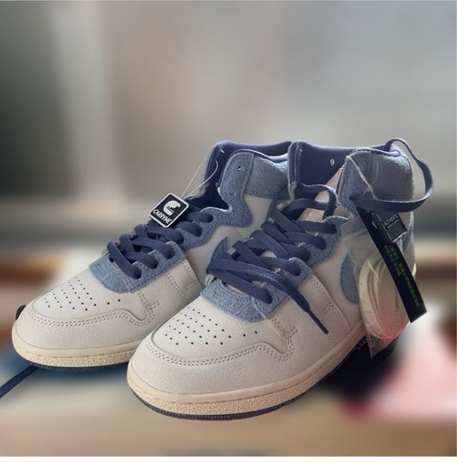 NIKE エアシップ 27cm