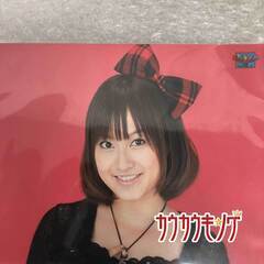 LINLIN / リンリン ピンナップポスター ハロプロ/モーニング娘。/ミニモニの画像