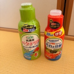 GEX サイクルとベストバイオ
の画像