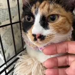 ✨超ゴロスリ✨ 💖11月24日（月・祝）🏠三養基郡基山町園…