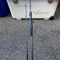 タチウオ用の釣竿(早駆け)の画像