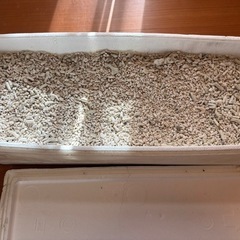 サンゴ砂17kg飼育用品アクアリウム底砂の画像