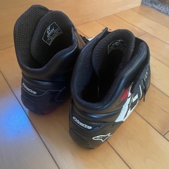 アルパインスターズ　シューズの画像