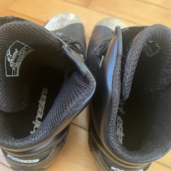 アルパインスターズ　シューズの画像