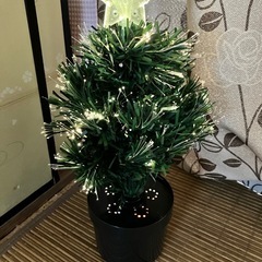 45㌢の❣️クリスマスツリー🎄の画像