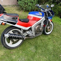 ホンダ　cbr250r mc19　の画像