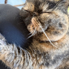 生活保護受給中の女性の方