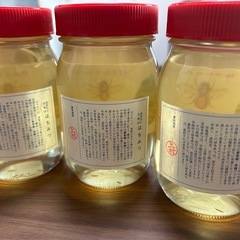 養蜂園の国産アカシヤ蜂蜜300gから
の画像