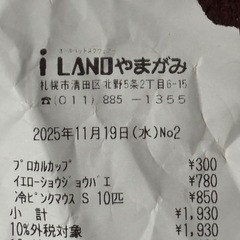 えさ　キイロショウジョウバエの画像