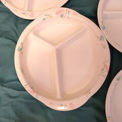 メラミン食器　皿　プレート　業務用　22枚セット  #02の画像