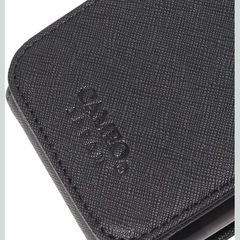 CAMEO カメオ　ダーツセット　カラー　モノ　収納ケースつき　新品未使用の画像