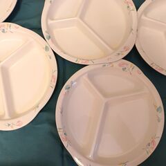 メラミン食器　皿　プレート　業務用　22枚セット  #03の画像