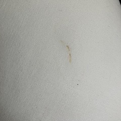 ペットベッド
の画像