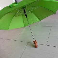 折りたたみ傘の画像