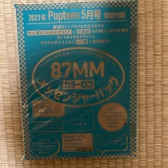 未使用　ポップティーン付録　87MMバッグの画像