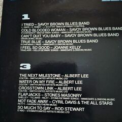 「ホワイト・ボーイ・ブルース」2枚組LPレコードの画像