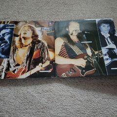 「ホワイト・ボーイ・ブルース」2枚組LPレコードの画像