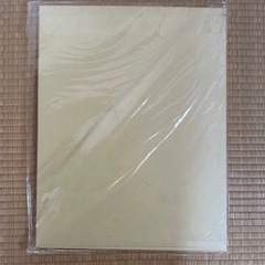 金潜紙 特選 F6号 2枚の画像