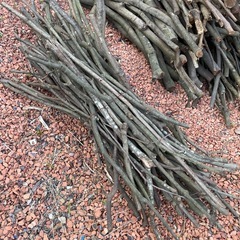 無料 焚き付け用　薪の画像