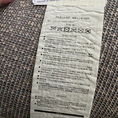 ニトリ　アクセントラグ　カーペットの画像