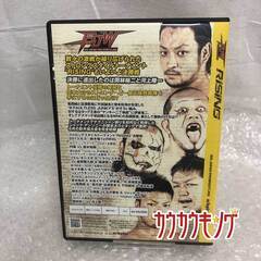BJW 大日本プロレス ストロングスタイルトーナメント 2013.6.5 ストロング16 決勝戦 新木場 プロレス DVDの画像