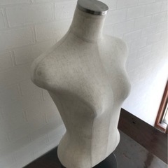 ハーフトルソーの画像