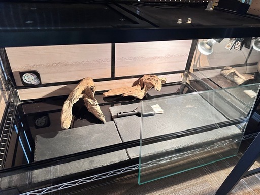 爬虫類飼育セット パンテオン9045