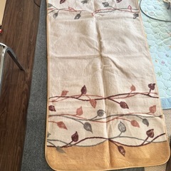 ホットカーペットの画像