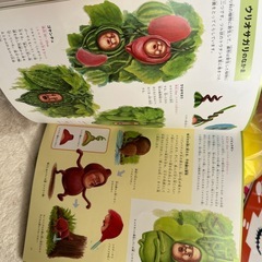 こびと大図鑑の画像