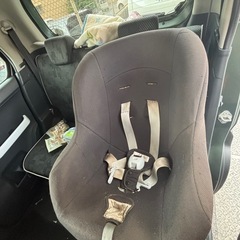 チャイルドシート　の画像