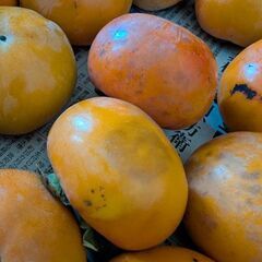 柿24個　今日朝10時か26（水）までの取引！の画像