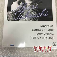 竹内朱莉 ピンナップポスター /ハロプロ モーニング娘。の画像