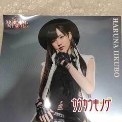 飯窪春菜 ピンナップポスター /ハロプロ モーニング娘。の画像