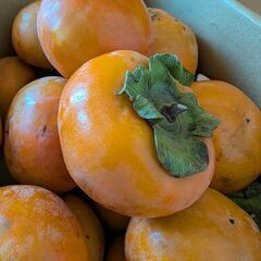 柿24個　今日朝10時か、26（水）までの取引！の画像