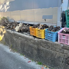 焚き火用薪　カゴ代込み500円 焚き木　焚き付け用薪　薪 針葉樹　乾燥木中心の画像