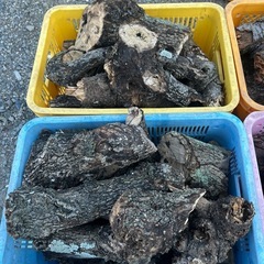 焚き火用薪　カゴ代込み500円 焚き木　焚き付け用薪　薪 針葉樹　乾燥木中心の画像