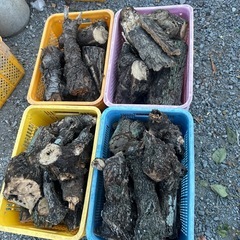 焚き火用薪　カゴ代込み500円 焚き木　焚き付け用薪　薪 針葉樹　乾燥木中心の画像