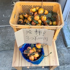 干し柿用‼️自家製
渋柿❣️4つ￥100円⭕️の画像