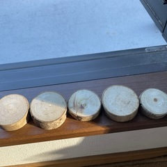 木材(木の輪切り)の画像