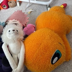 ぬいぐるみ　まとめて！の画像