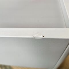 IKEA アクティビティテーブル DUNDRA 子供用テーブルの画像