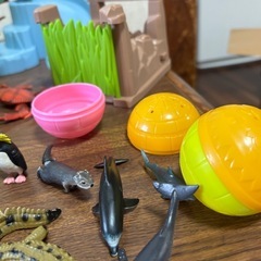 動物(アニアあり)昆虫まとめ売りの画像