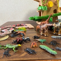 動物(アニアあり)昆虫まとめ売りの画像