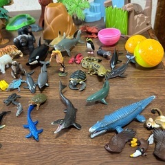 動物(アニアあり)昆虫まとめ売りの画像