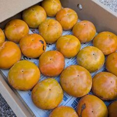 柿24個　今日朝10時か26（水）までの取引！の画像